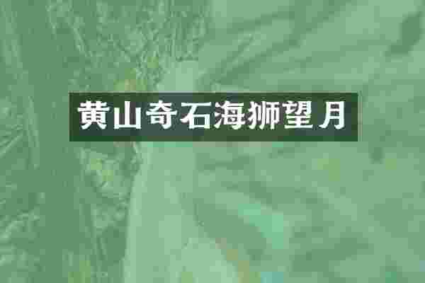 黄山奇石海狮望月