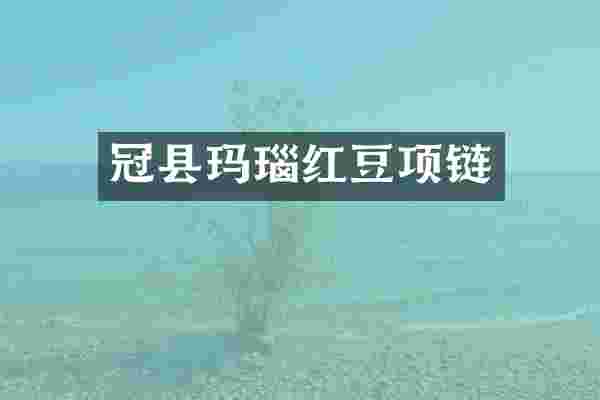 冠县玛瑙红豆项链