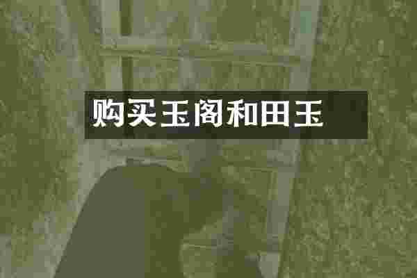 购买玉玥阁和田玉