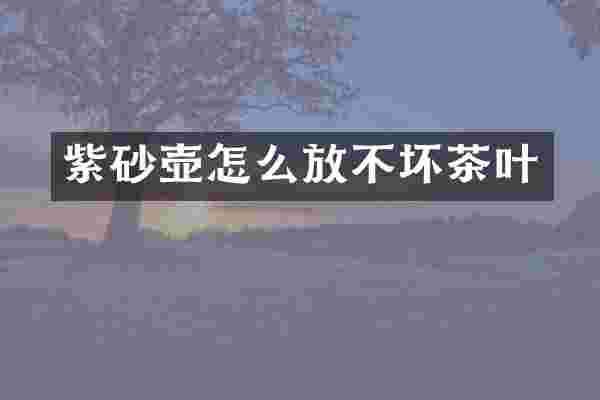 紫砂壶怎么放不坏茶叶