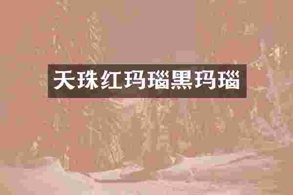 天珠红玛瑙黑玛瑙