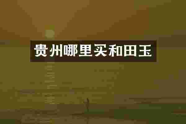 贵州哪里买和田玉