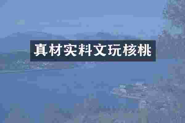真材实料文玩核桃