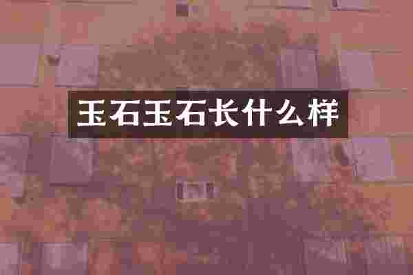 玉石玉石长什么样