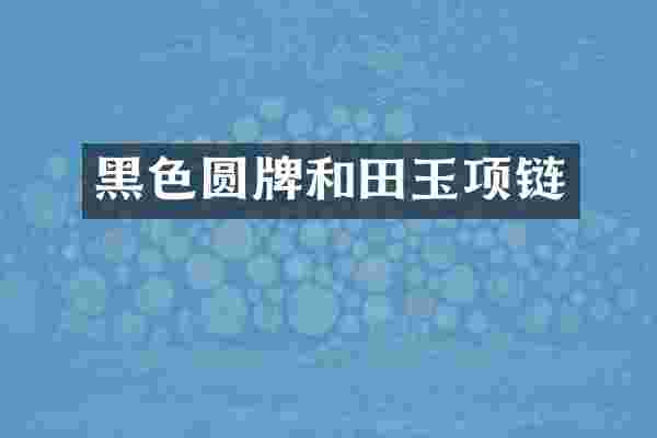 黑色圆牌和田玉项链