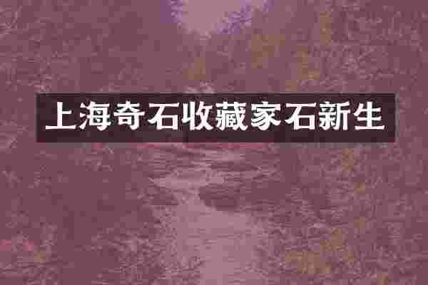 上海奇石收藏家石新生