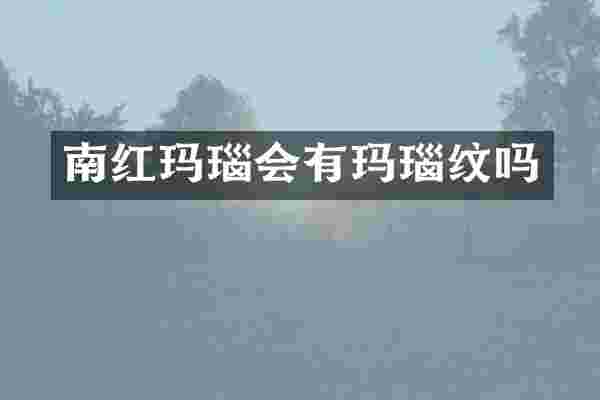 南红玛瑙会有玛瑙纹吗