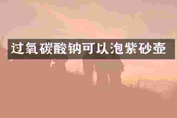 过氧碳酸钠可以泡紫砂壶