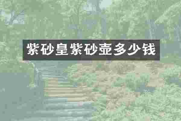 紫砂皇紫砂壶多少钱
