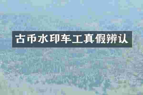 古币水印车工真假辨认