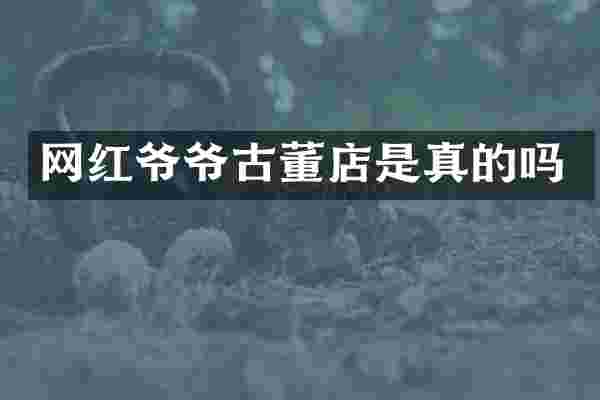 网红爷爷古董店是真的吗