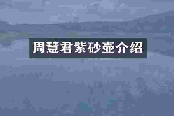 周慧君紫砂壶介绍