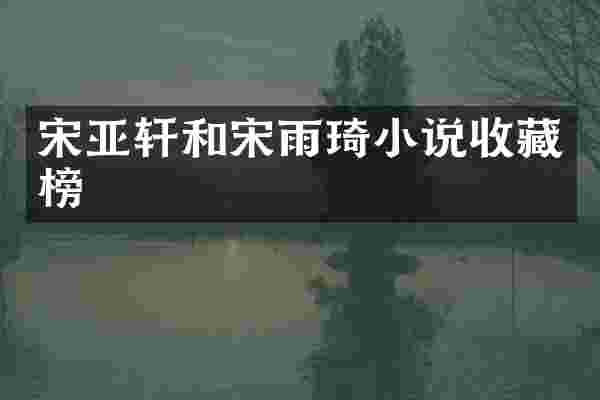 宋亚轩和宋雨琦小说收藏榜