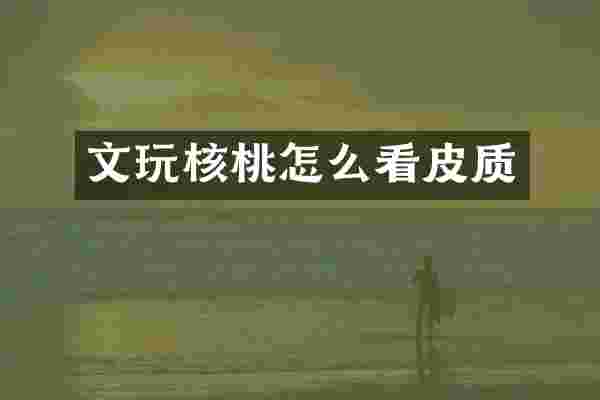 文玩核桃怎么看皮质