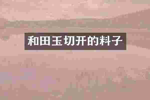 和田玉切开的料子