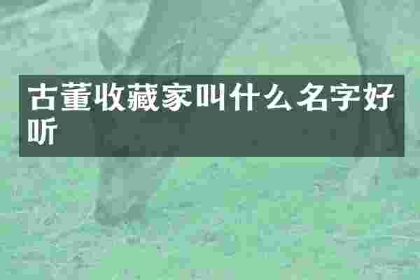 古董收藏家叫什么名字好听
