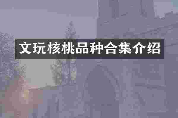 文玩核桃品种介绍