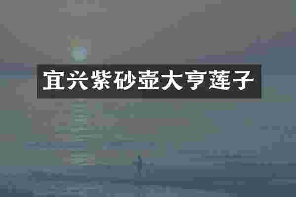 宜兴紫砂壶大亨莲子