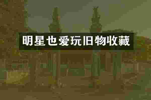 明星也爱玩旧物收藏