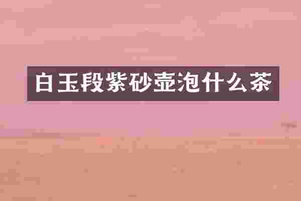 白玉段紫砂壶泡什么茶