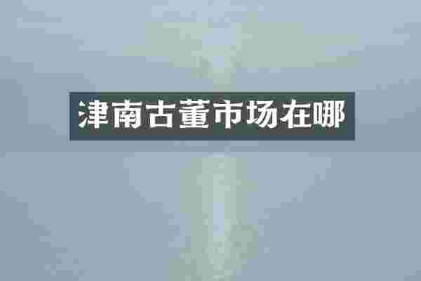 津南古董市场在哪