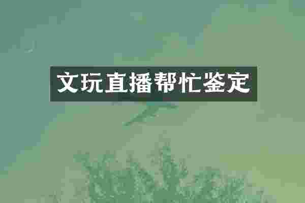 文玩直播帮忙鉴定