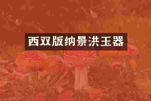 西双版纳景洪玉器