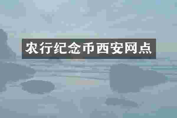 农行纪念币西安网点