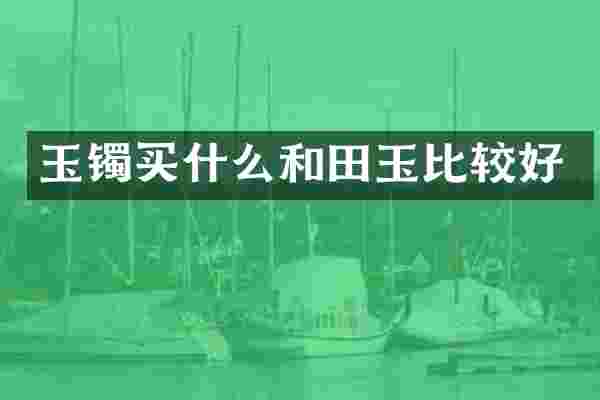 玉镯和田玉比较好