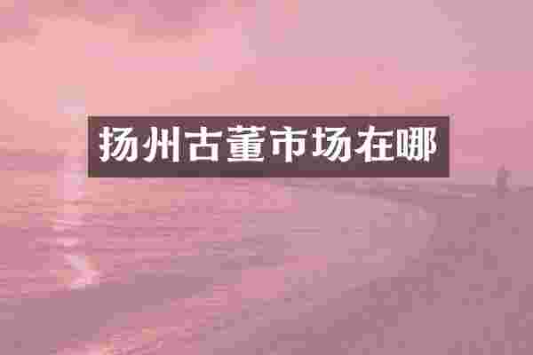 扬州古董市场在哪