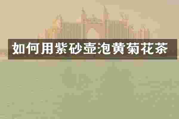 如何用紫砂壶泡花茶