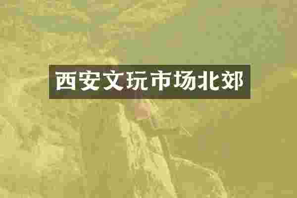 西安文玩市场北郊