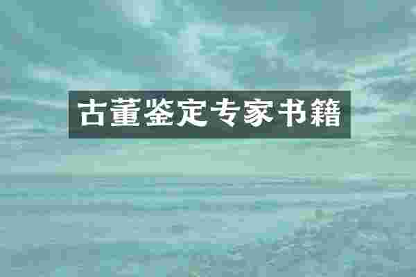 古董鉴定专家书籍