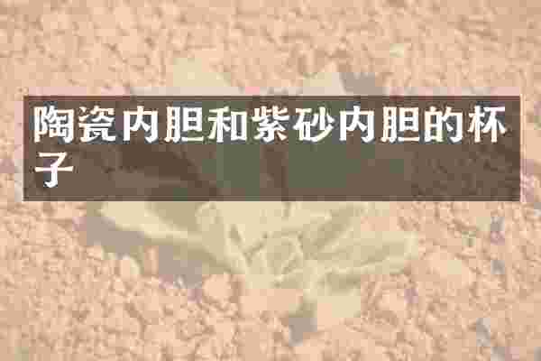 陶瓷内胆和紫砂内胆的杯子