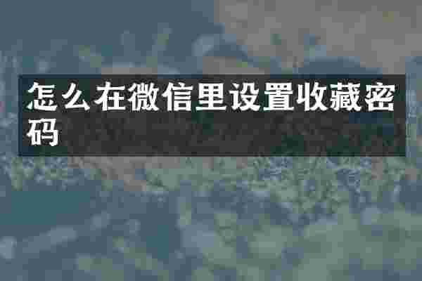 怎么在微信里设置收藏密码