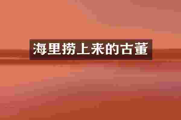 海里捞上来的古董