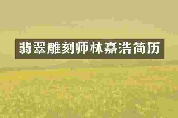 翡翠雕刻师林嘉浩简历