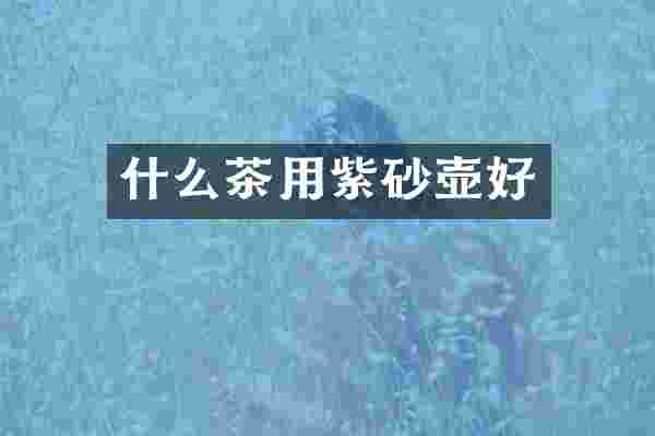 什么茶用紫砂壶好