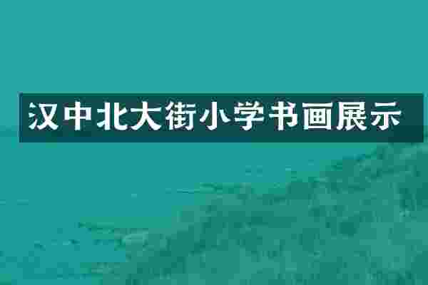 汉中北大街小学书画展示