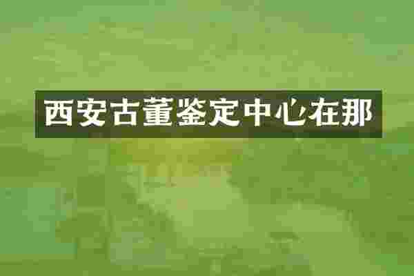 西安古董鉴定中心在那