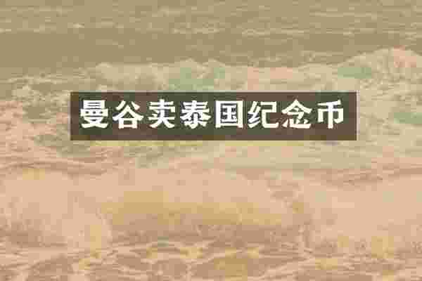 曼谷卖泰国纪念币