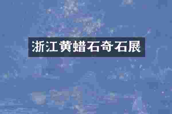 浙江黄蜡石奇石展