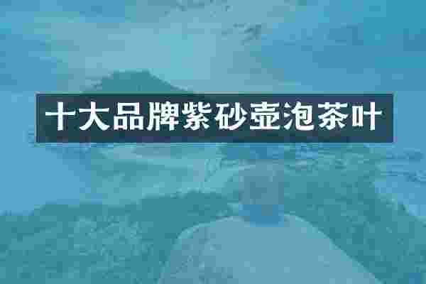 十大品牌紫砂壶泡茶叶