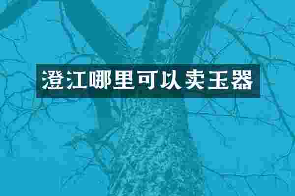 澄江哪里可以卖玉器