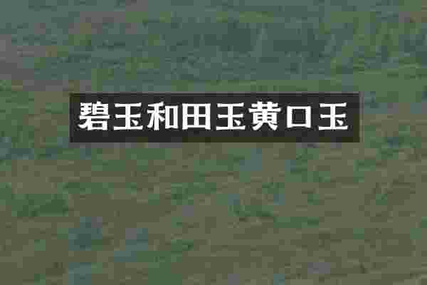 碧玉和田玉黄口玉
