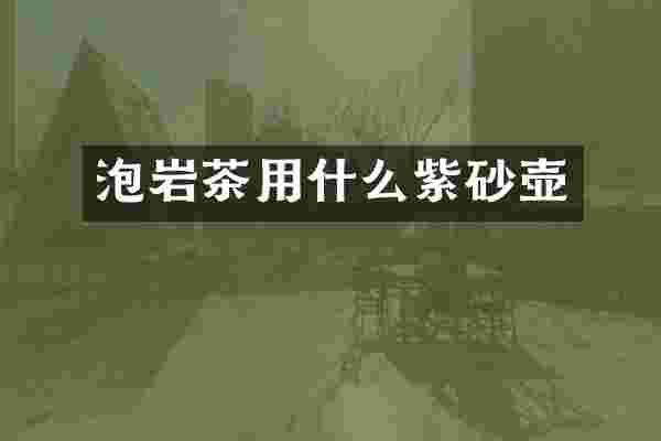 泡岩茶用什么紫砂壶