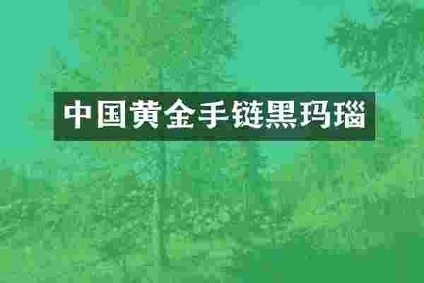 中国黄金手链黑玛瑙