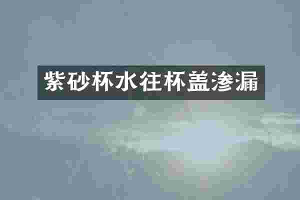 紫砂杯水往杯盖渗漏