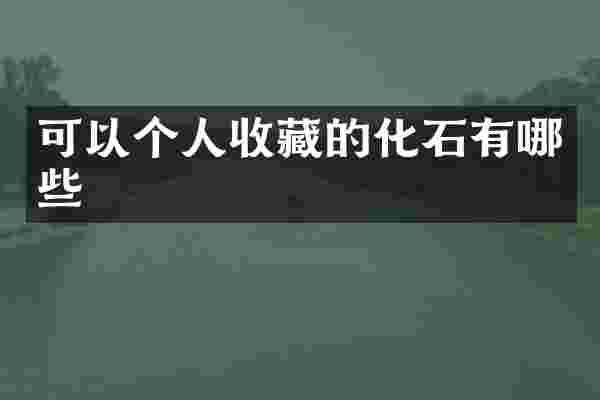 可以个人收藏的化石有哪些