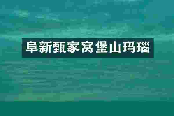 阜新甄家窝堡山玛瑙